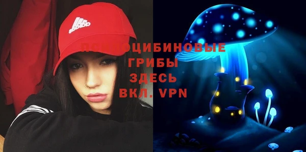 СК Аркадак