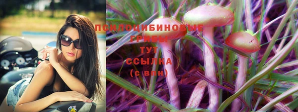 крисы Балахна