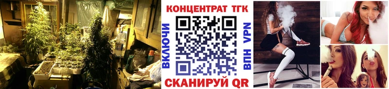 kraken как войти  наркотики  Котовск  Дистиллят ТГК THC oil 
