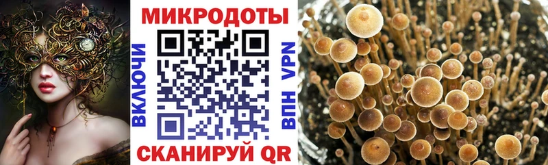 наркошоп  кракен как войти  Галлюциногенные грибы Cubensis  Котовск 