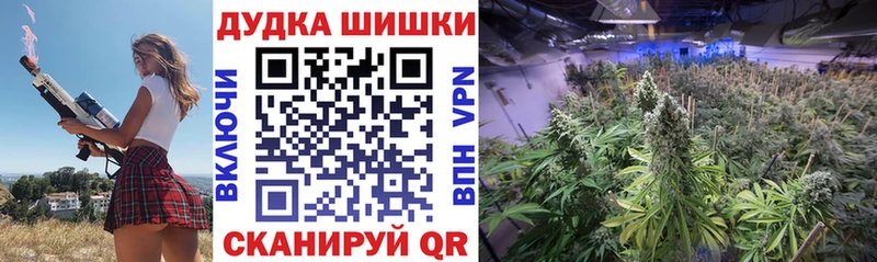 Каннабис сатива наркошоп Котовск